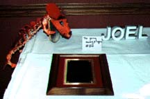 Joel's Plaque